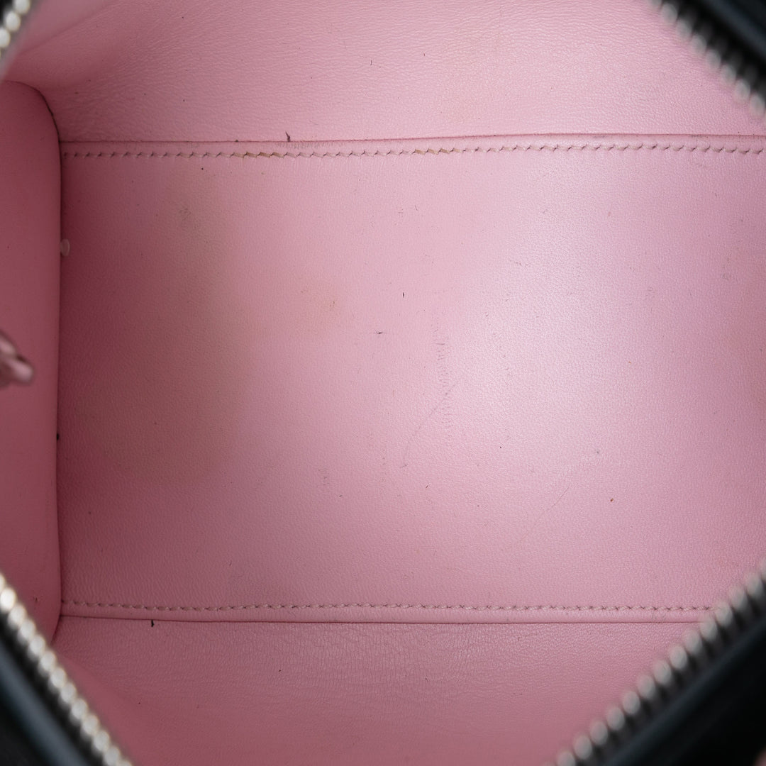 Dior Medium Cuir de veau brodé Flower Lady Dior
