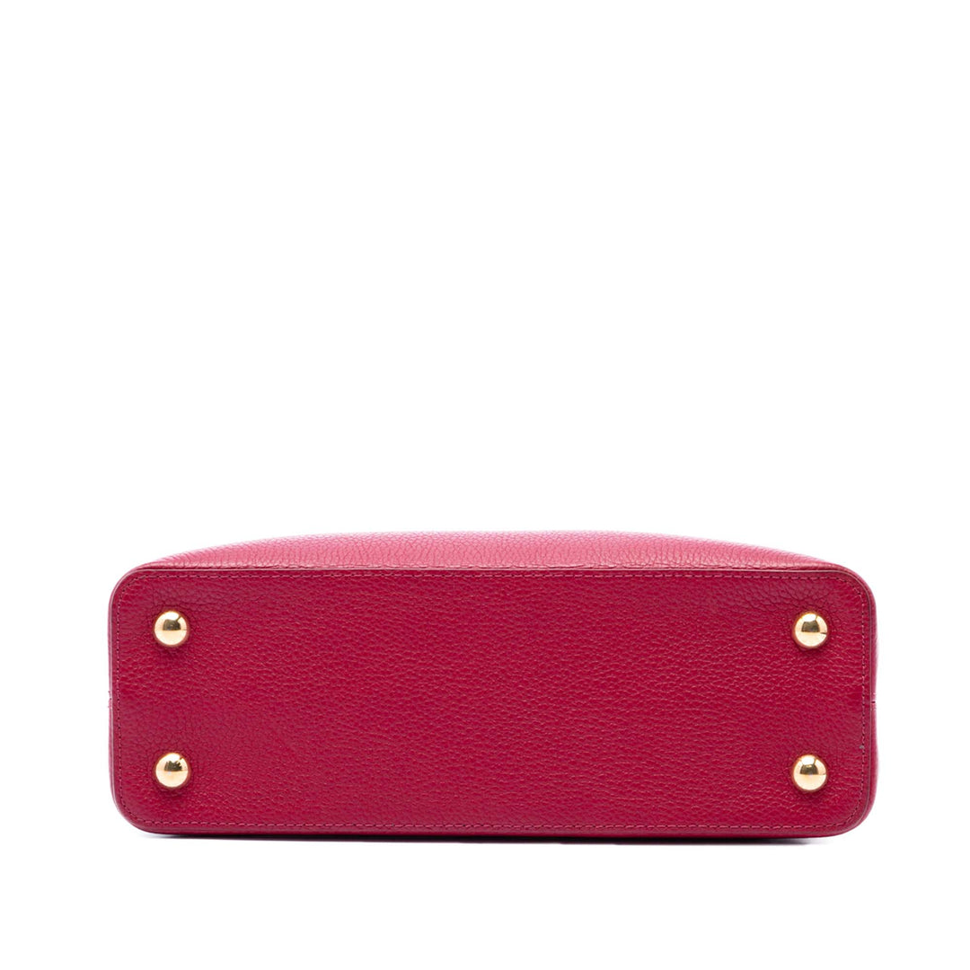 Louis Vuitton Tricolor Taurillon Capucines PM
