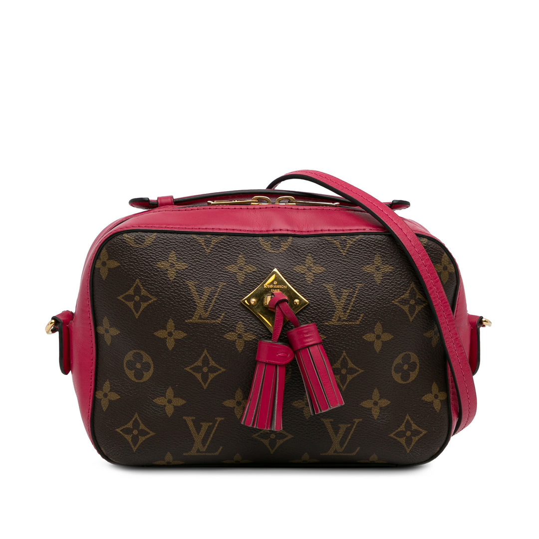 Monogram Saintonge Brown - Gaby Paris