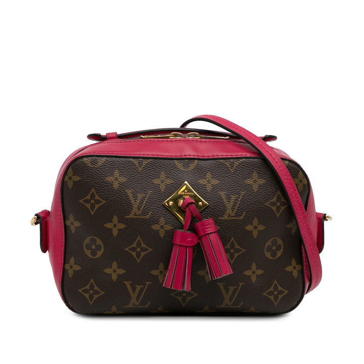Monogram Saintonge Brown - Gaby Paris