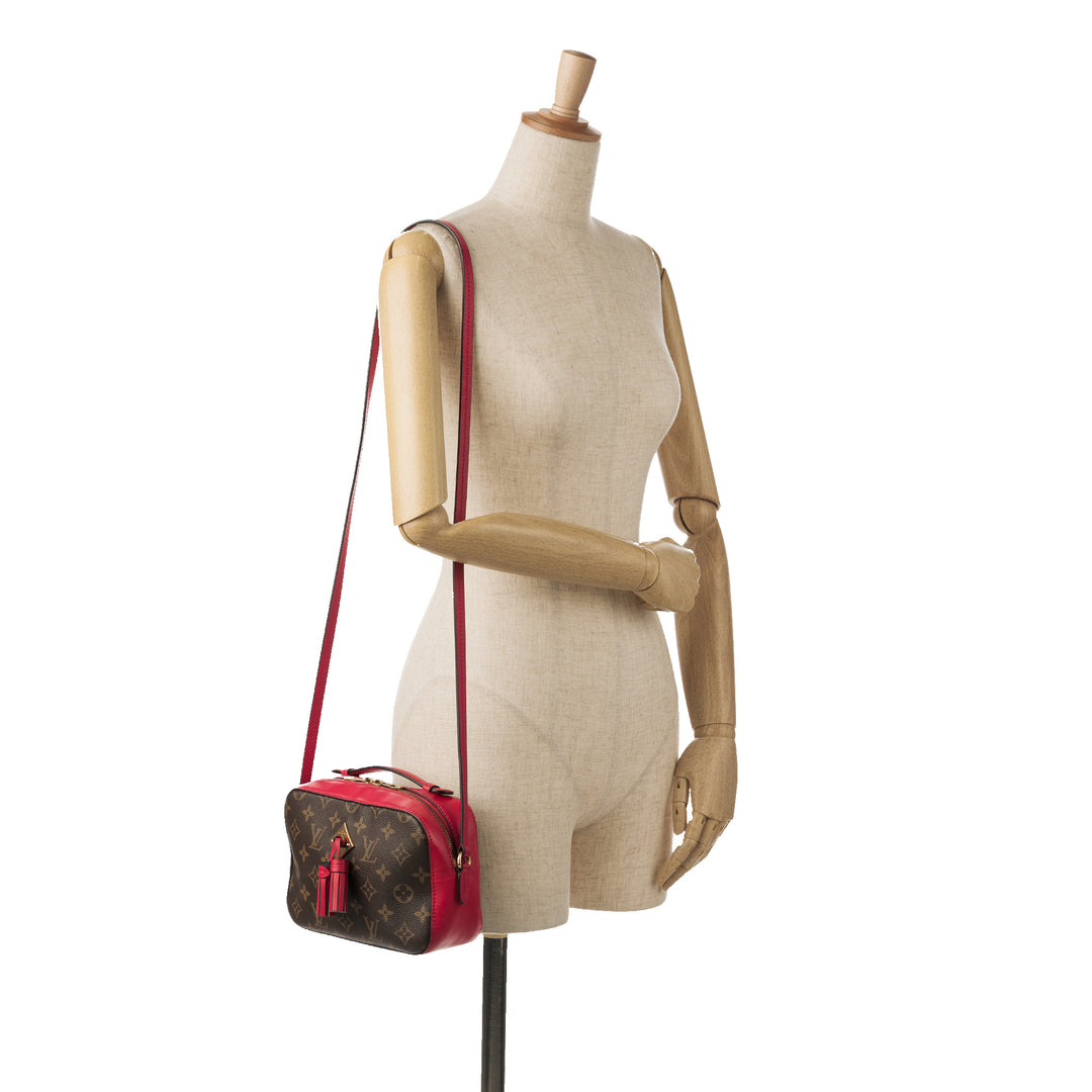 Monogram Saintonge Brown - Gaby Paris