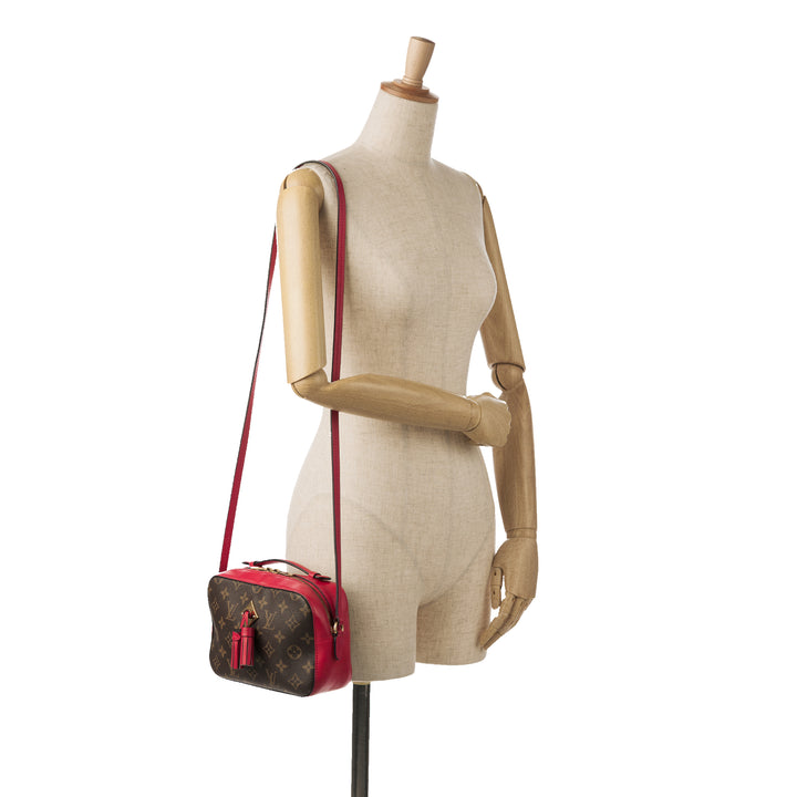 Monogram Saintonge Brown - Gaby Paris