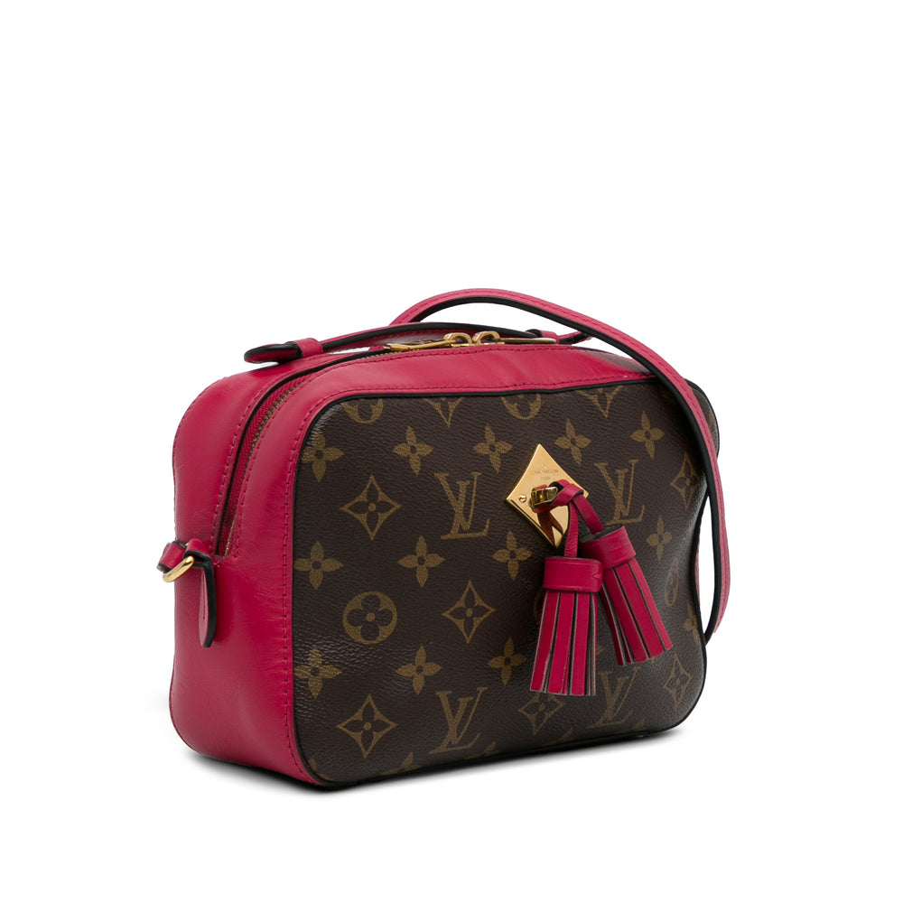 Monogram Saintonge Brown - Gaby Paris