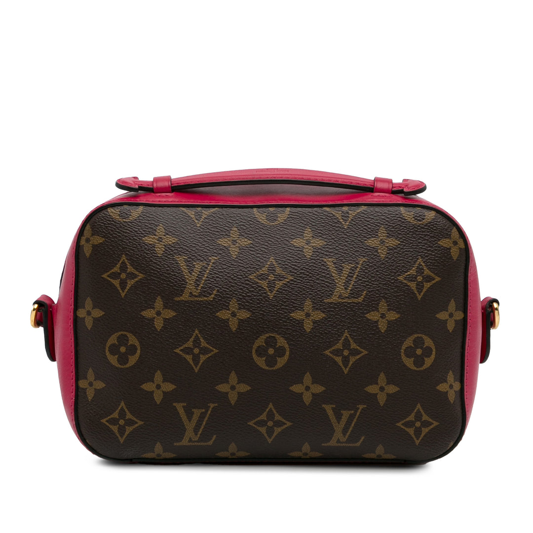 Monogram Saintonge Brown - Gaby Paris