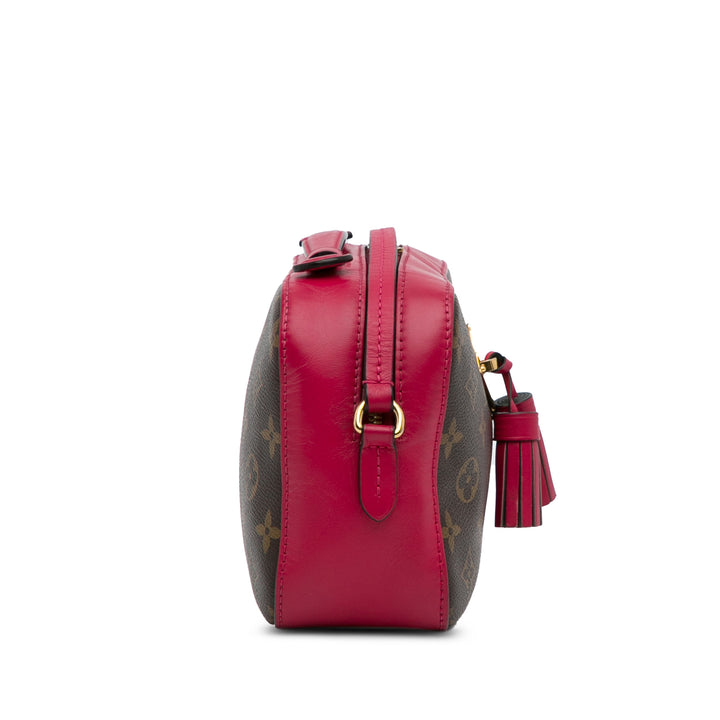 Monogram Saintonge Brown - Gaby Paris