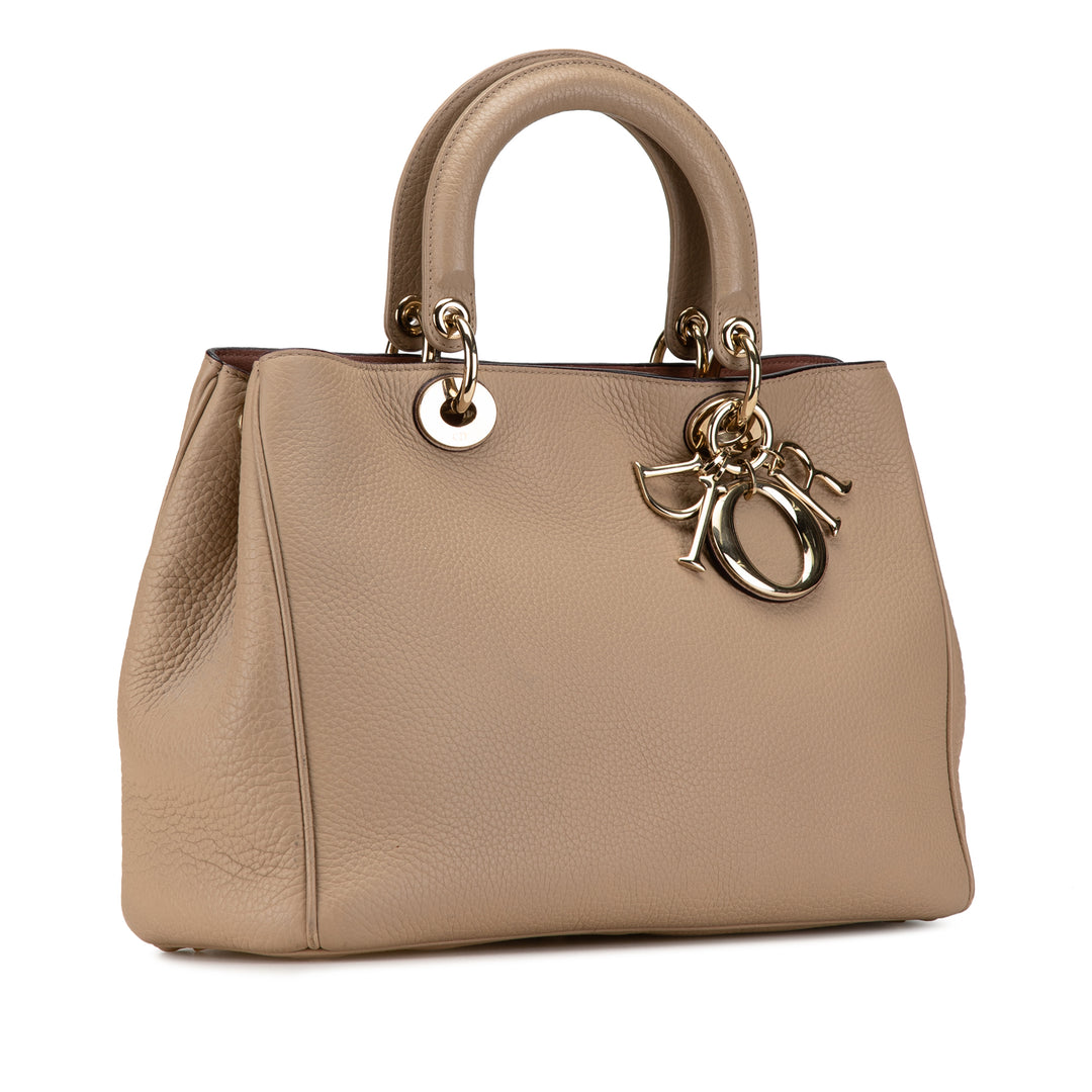 Medium Diorissimo Satchel Brown - Gaby Paris