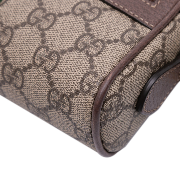 Mini GG Supreme Ophidia Crossbody Brown - Gaby Paris
