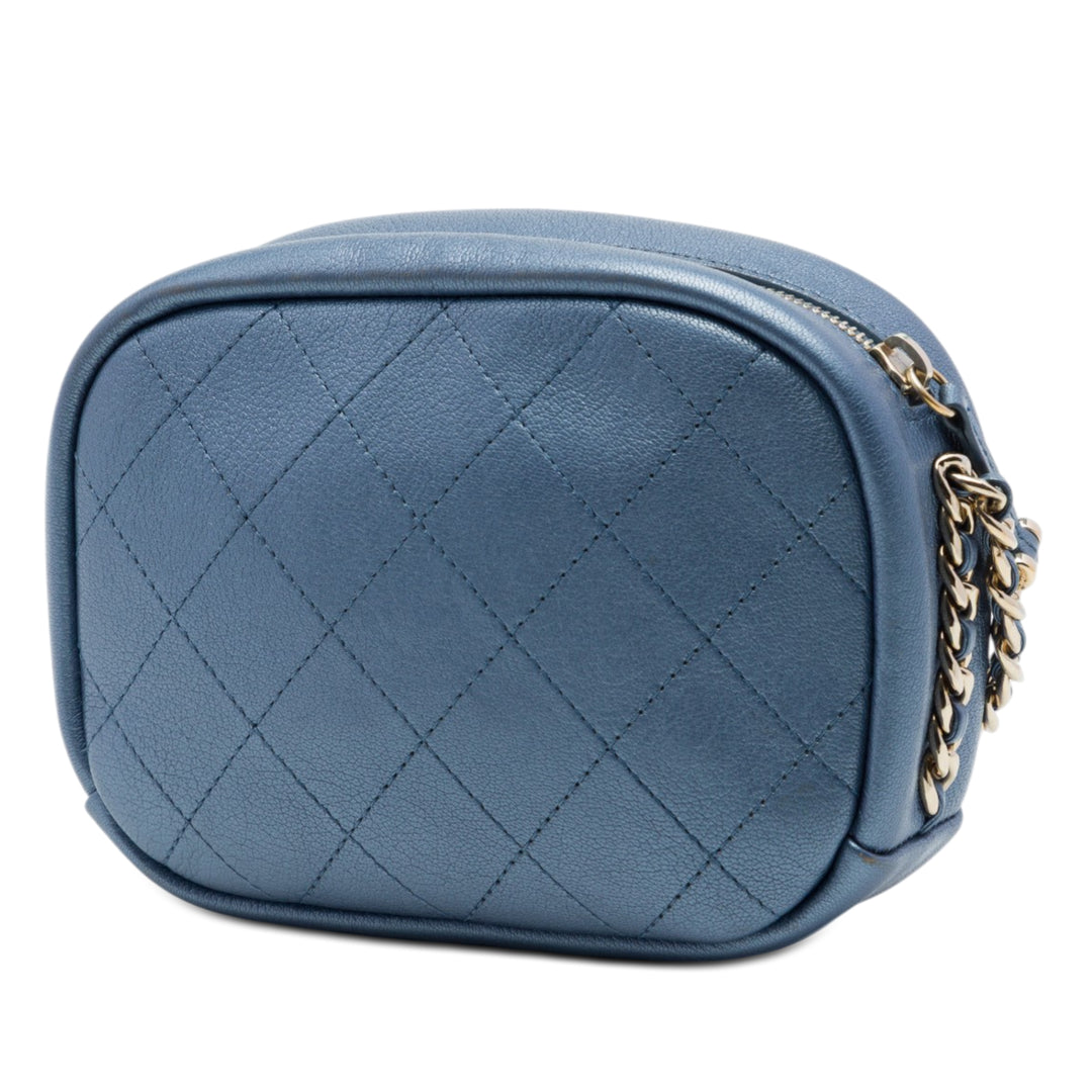 Chanel Small Matelassé Metallic Cuir de chèvre Casual Trip Sac caméra