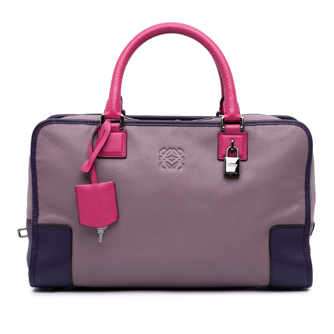Tricolor Goatskin Amazona 36 Purple - Gaby Paris