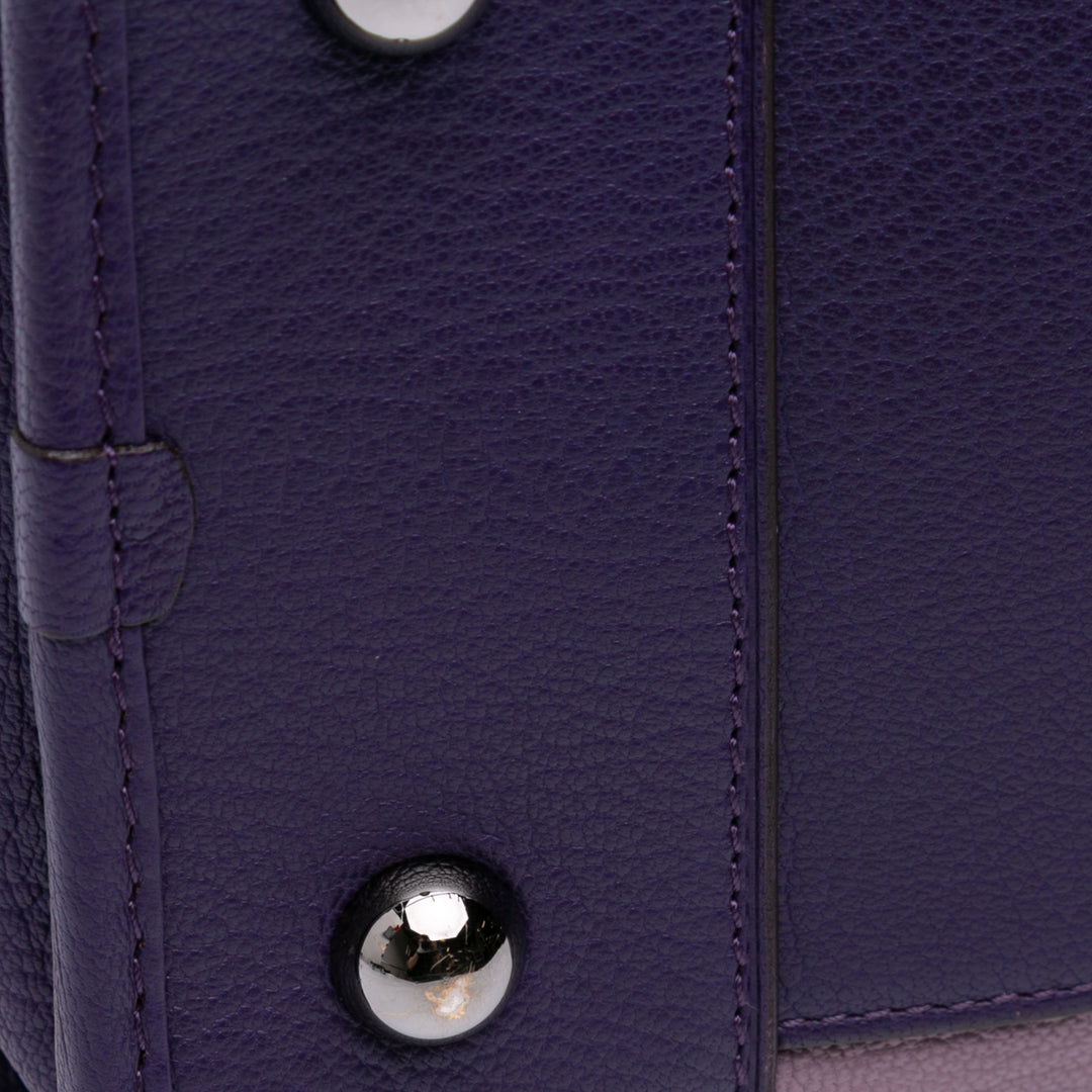 Tricolor Goatskin Amazona 36 Purple - Gaby Paris