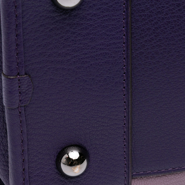 Tricolor Goatskin Amazona 36 Purple - Gaby Paris