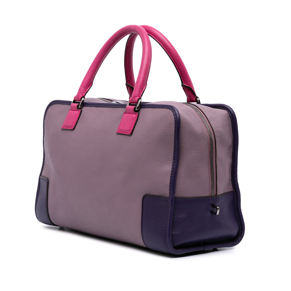 Tricolor Goatskin Amazona 36 Purple - Gaby Paris