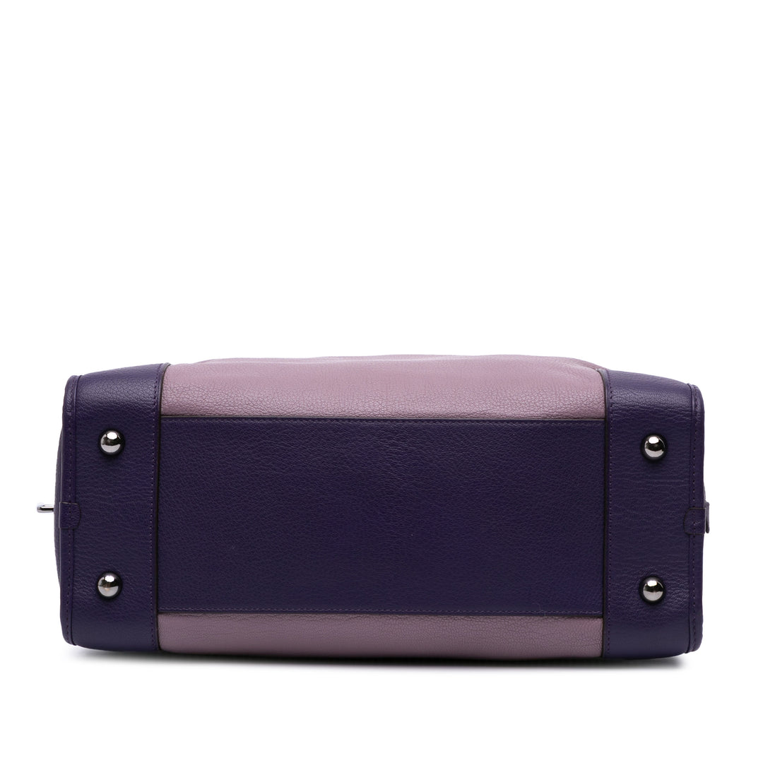 Tricolor Goatskin Amazona 36 Purple - Gaby Paris