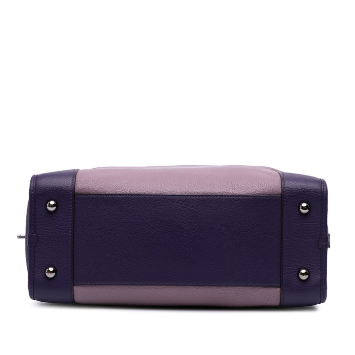Tricolor Goatskin Amazona 36 Purple - Gaby Paris