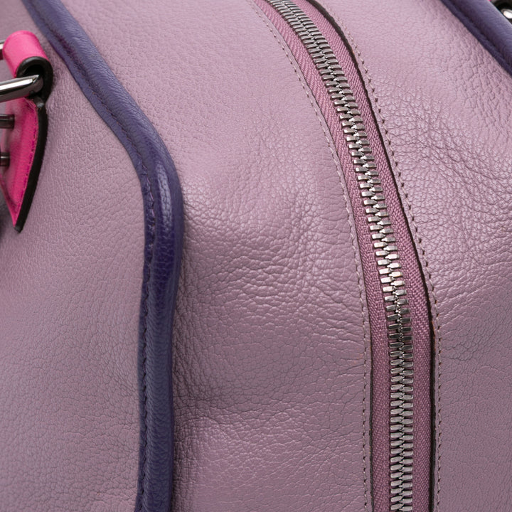 Tricolor Goatskin Amazona 36 Purple - Gaby Paris