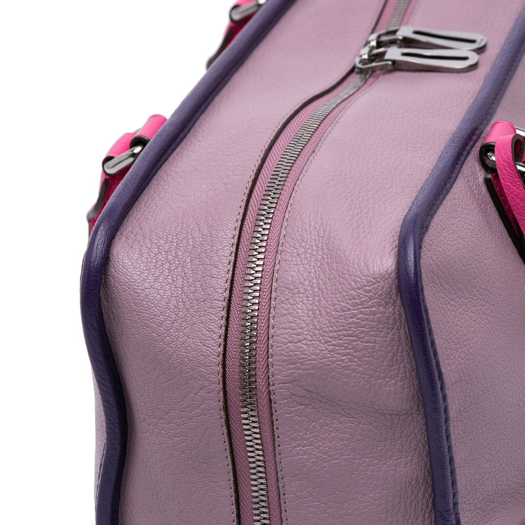Tricolor Goatskin Amazona 36 Purple - Gaby Paris