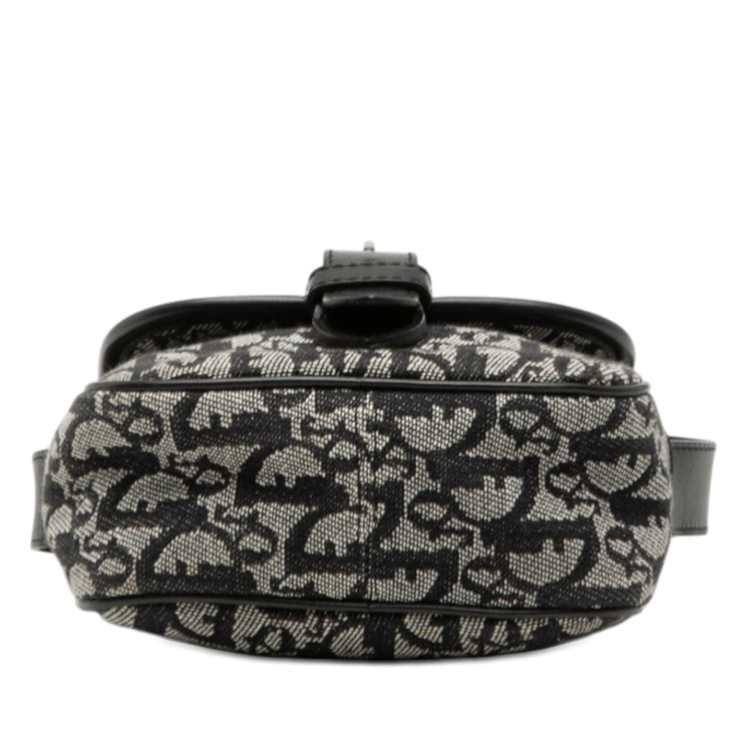 Dior Diorissimo Trotter Toile Sac porté croisé