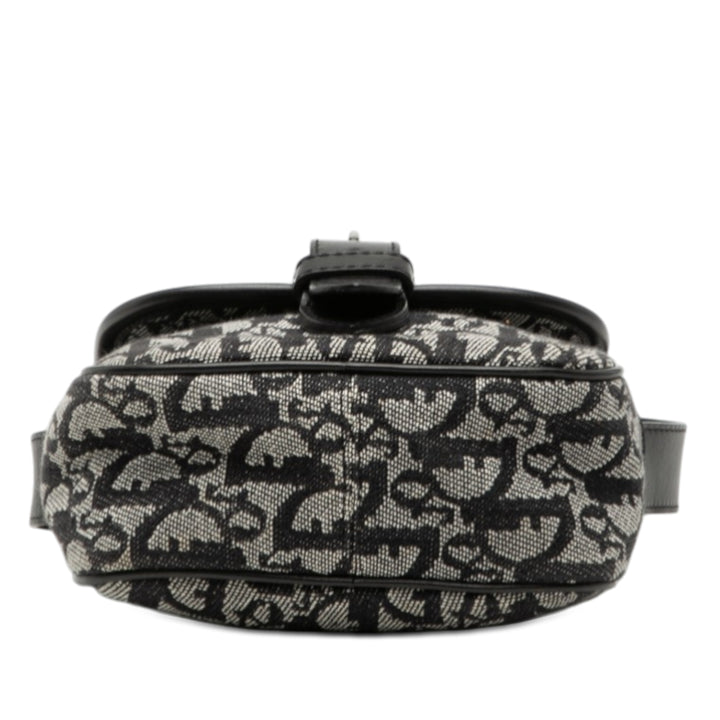 Dior Diorissimo Trotter Toile Sac porté croisé