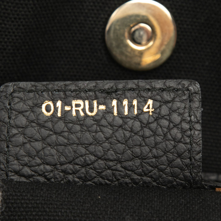 Dior Édition limitée Medium Toile Printed Diorissimo Sac