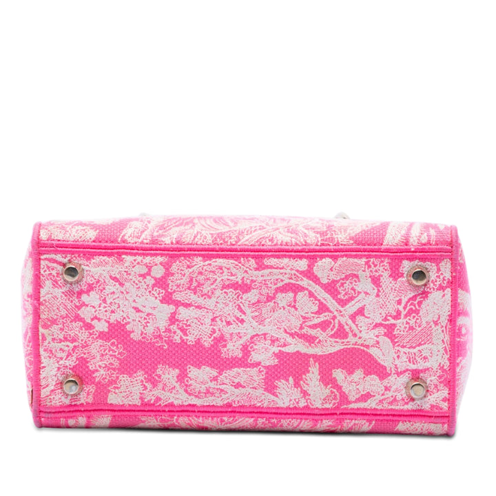 Dior Medium brodé Toile Toile De Jouy Lady D Lite