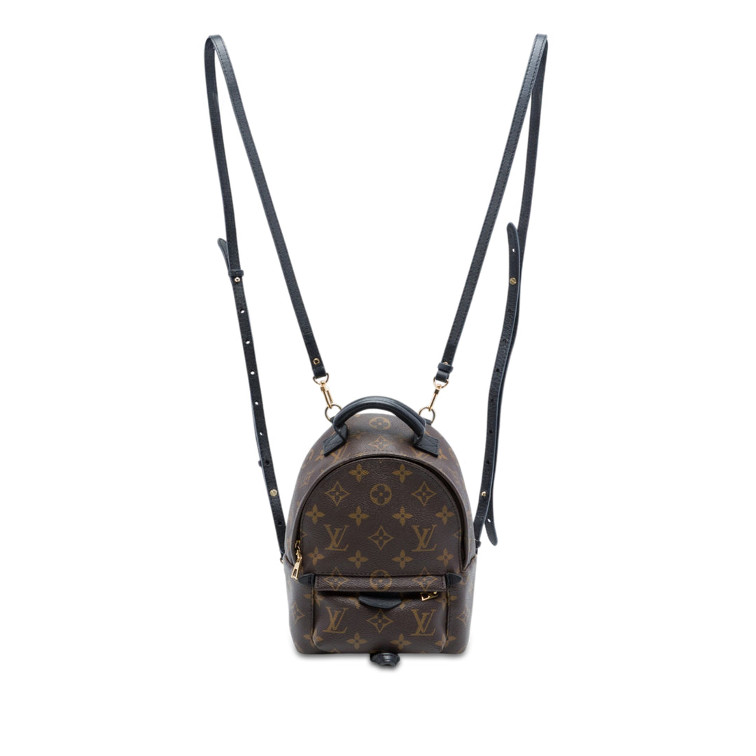 Louis Vuitton Palm Springs Mini Toile Monogram