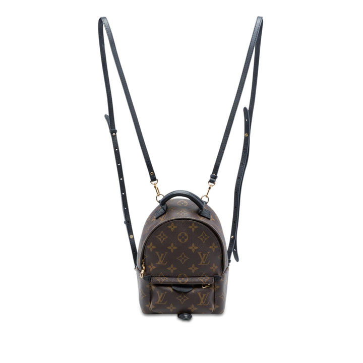 Louis Vuitton Palm Springs Mini Toile Monogram