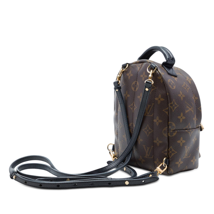 Louis Vuitton Palm Springs Mini Toile Monogram