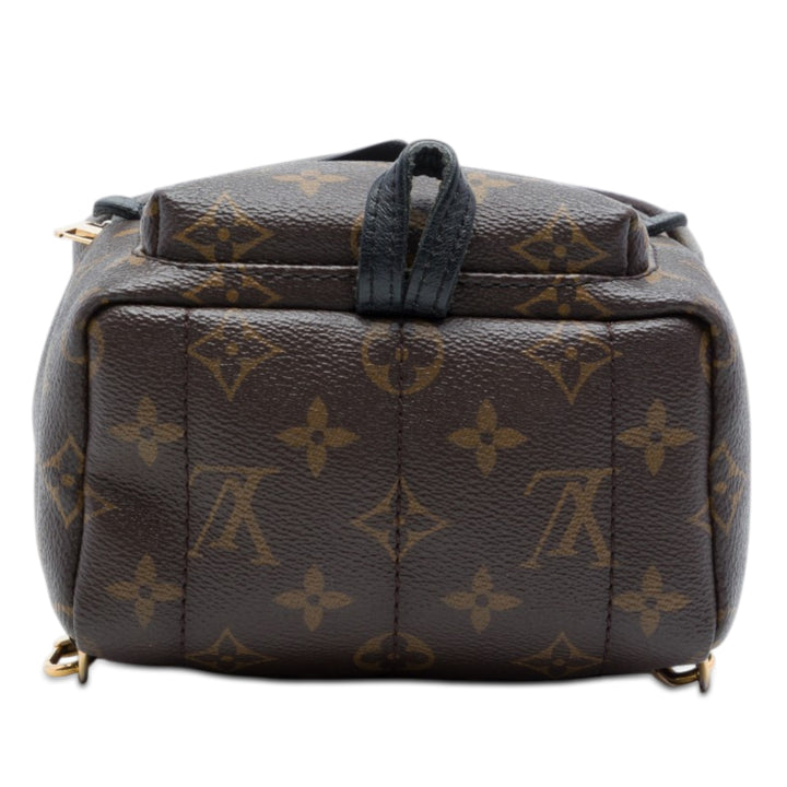 Louis Vuitton Palm Springs Mini Toile Monogram