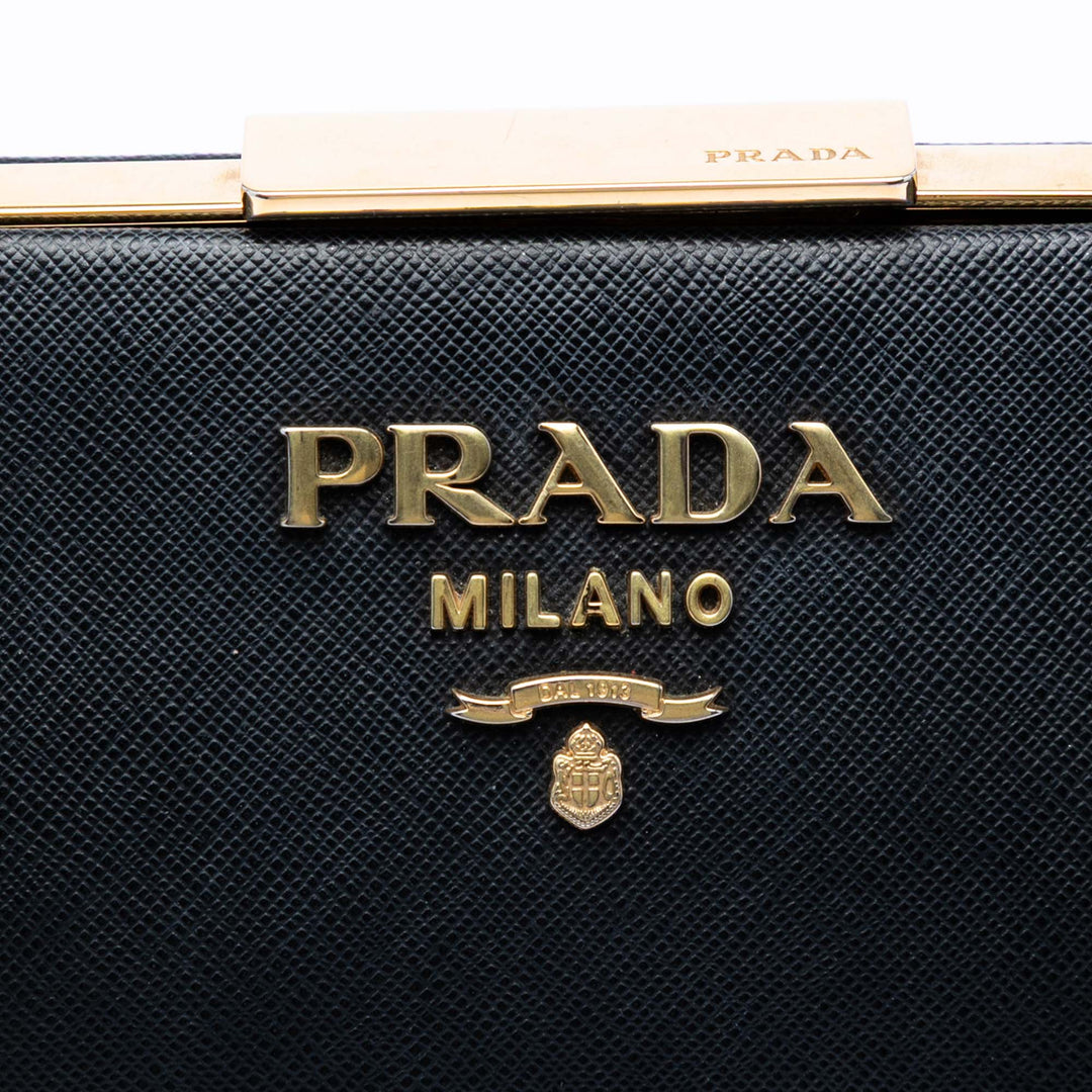 Prada Saffiano et City Veau Light Frame Sac porté croisé