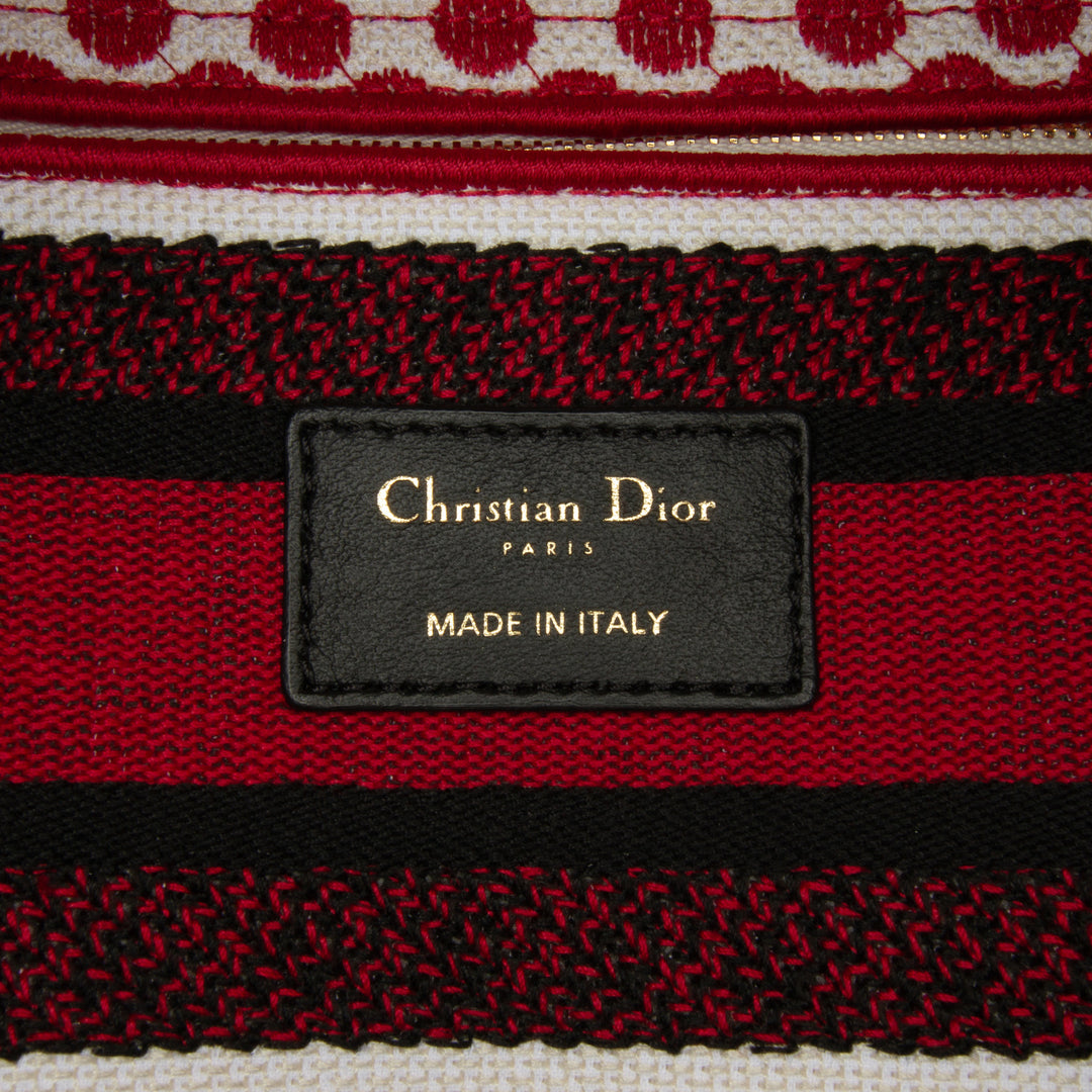 Dior DiorAmour Medium brodé Toile Dots Lady D Lite