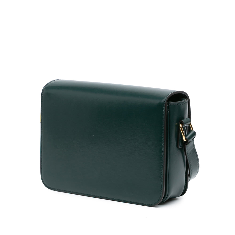 Teen Shiny Calfskin Triomphe Crossbody Green - Gaby Paris