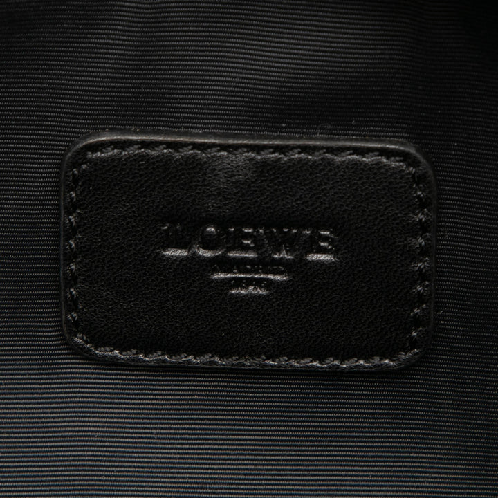 LOEWE Metallic Cuir de chèvre Amazona 36