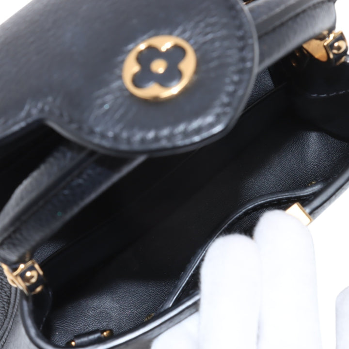 Louis Vuitton Taurillon Mini Capucines