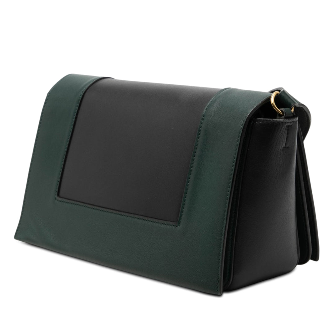 Celine brillant Sac structuré Moyen Cuir de veau lisse