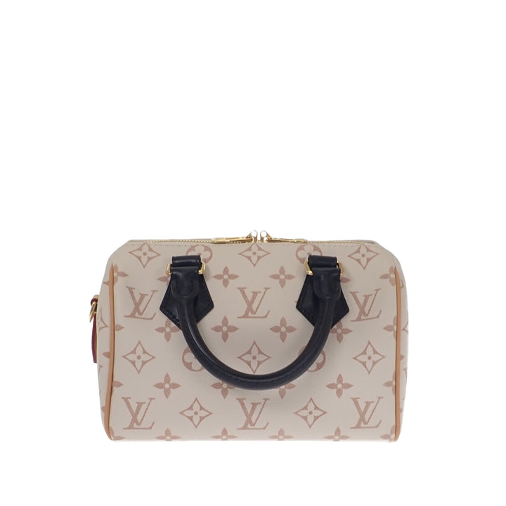 Dune Speedy Bandouliere 20 Monogram Marron