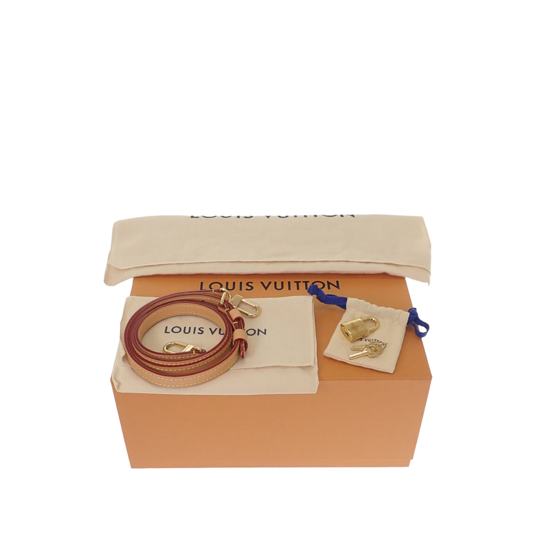 Dune Speedy Bandouliere 20 Monogram Marron