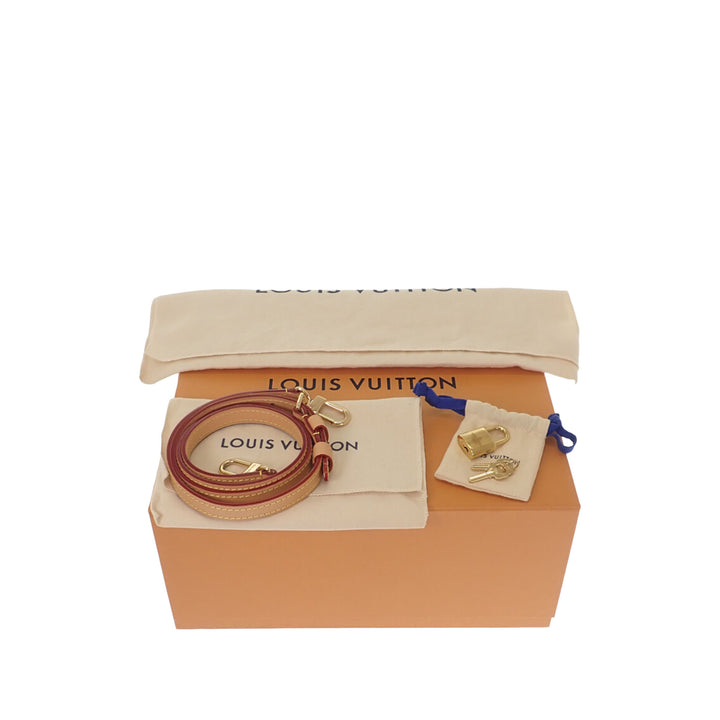 Dune Speedy Bandouliere 20 Monogram Marron