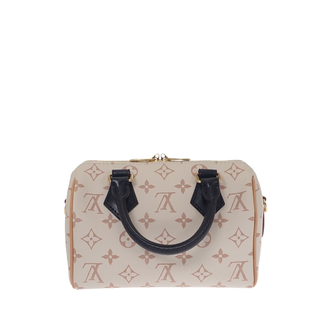 Dune Speedy Bandouliere 20 Monogram Marron