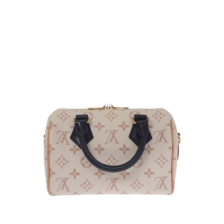 Dune Speedy Bandouliere 20 Monogram Marron