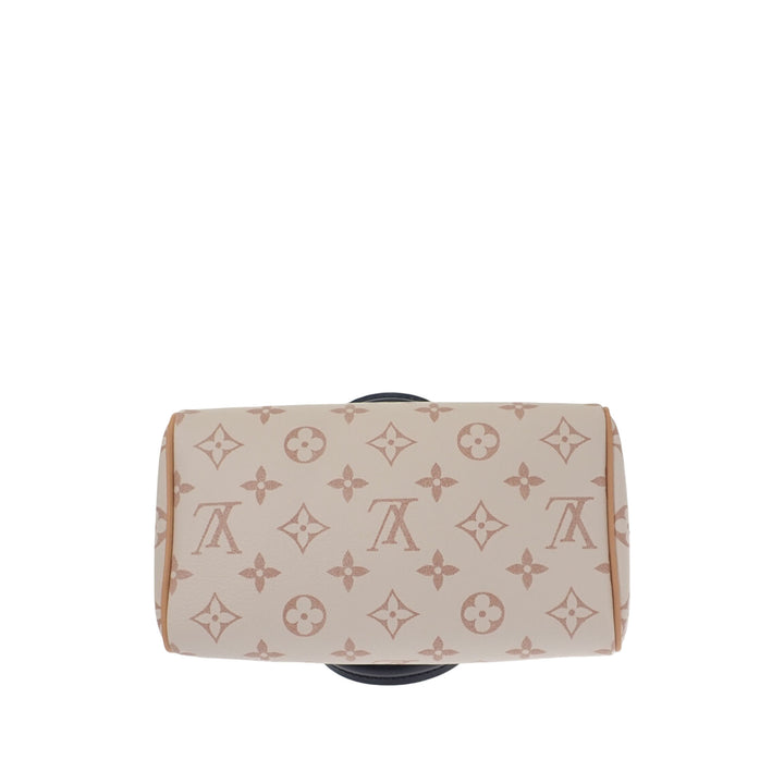 Dune Speedy Bandouliere 20 Monogram Marron