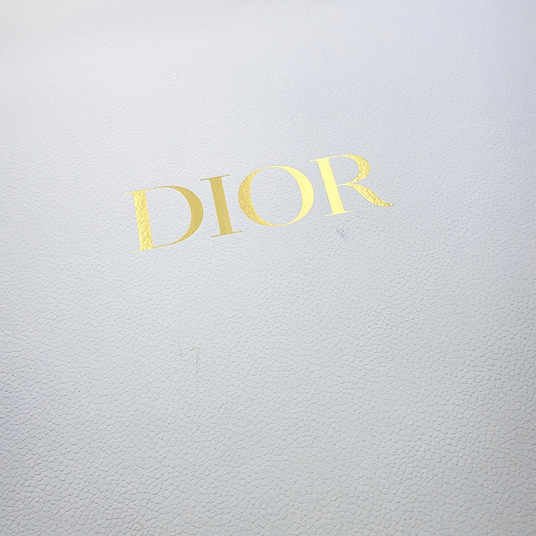 Dior Large Oblique brodé Toile Book Cabas