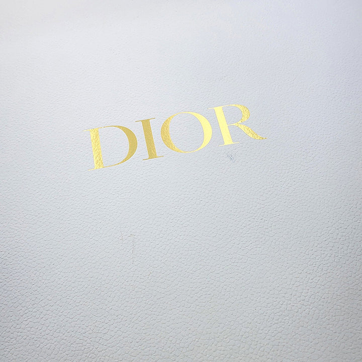 Dior Large Oblique brodé Toile Book Cabas