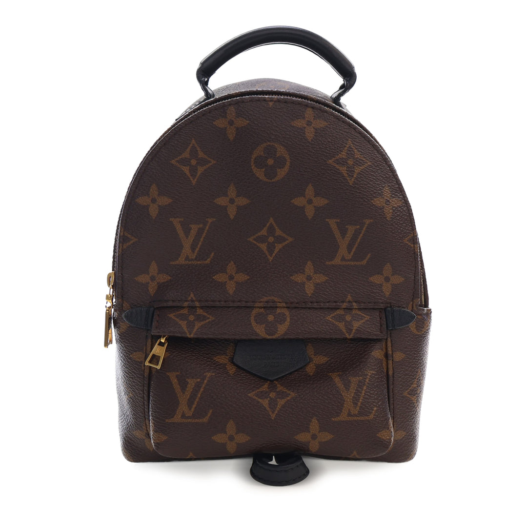 Louis Vuitton Monogram Mini Palm Springs