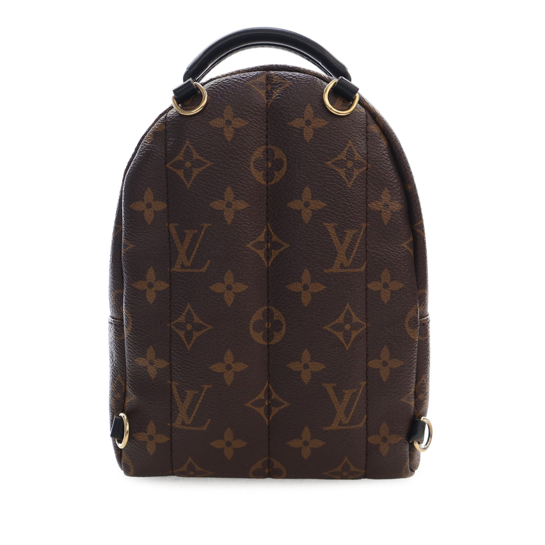 Louis Vuitton Monogram Mini Palm Springs
