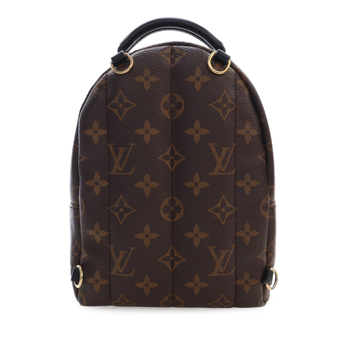 Louis Vuitton Monogram Mini Palm Springs