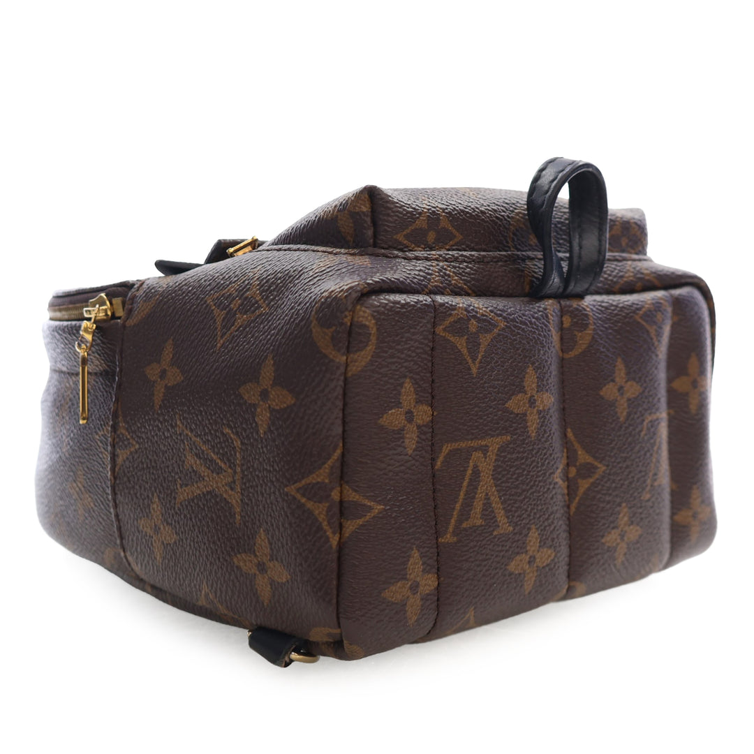 Louis Vuitton Monogram Mini Palm Springs