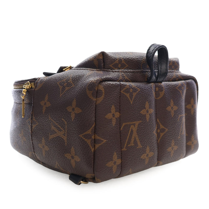 Louis Vuitton Monogram Mini Palm Springs