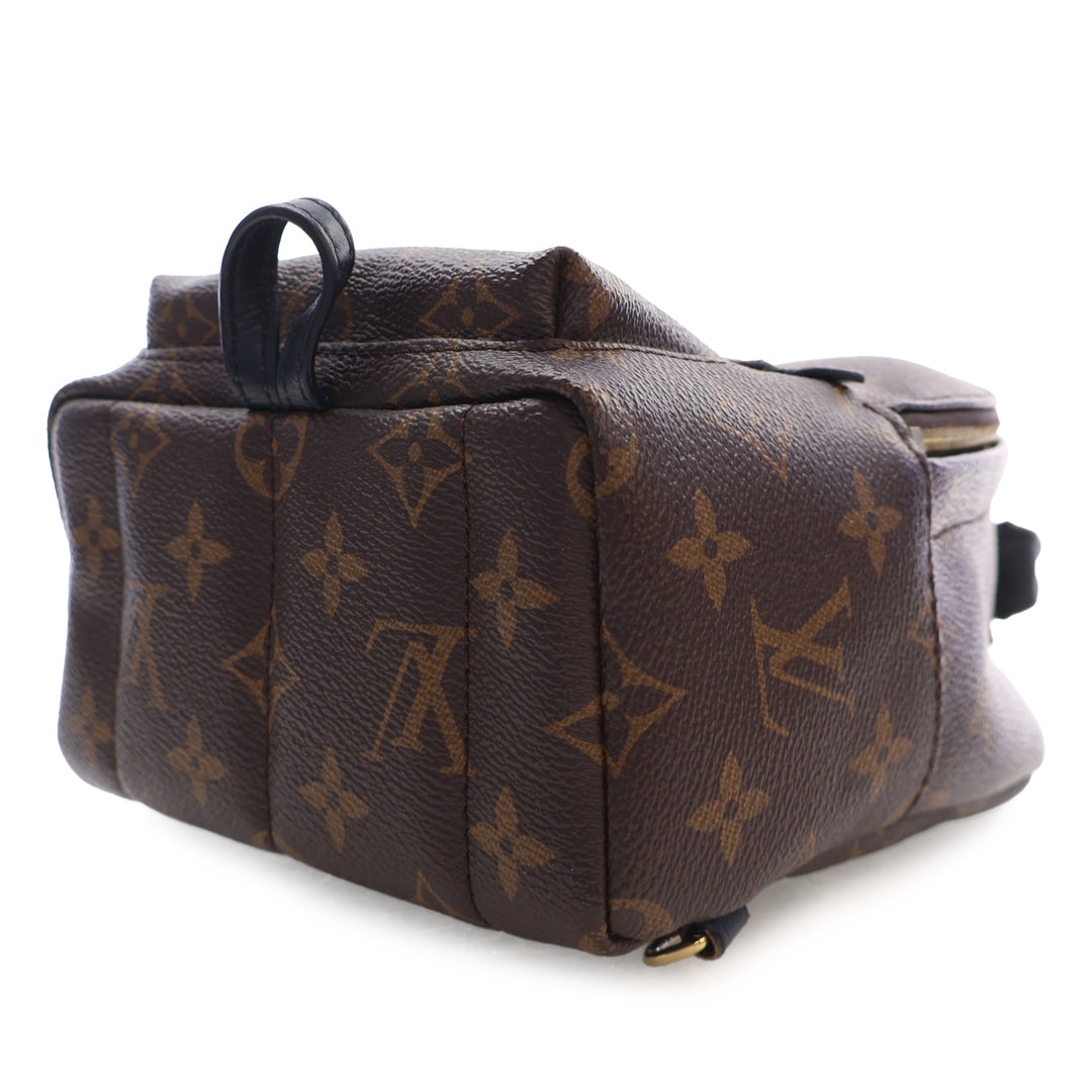 Louis Vuitton Monogram Mini Palm Springs