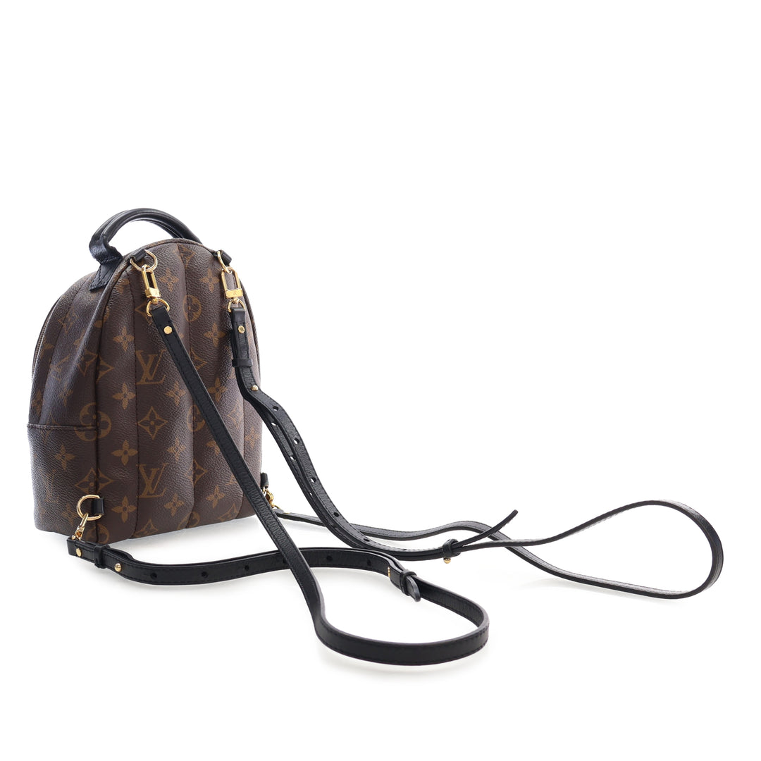 Louis Vuitton Monogram Mini Palm Springs