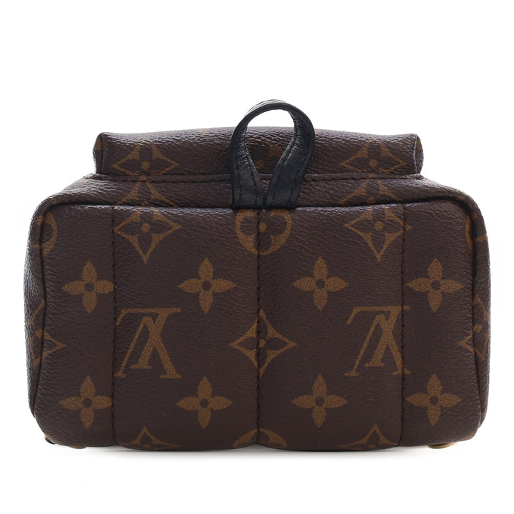 Louis Vuitton Monogram Mini Palm Springs